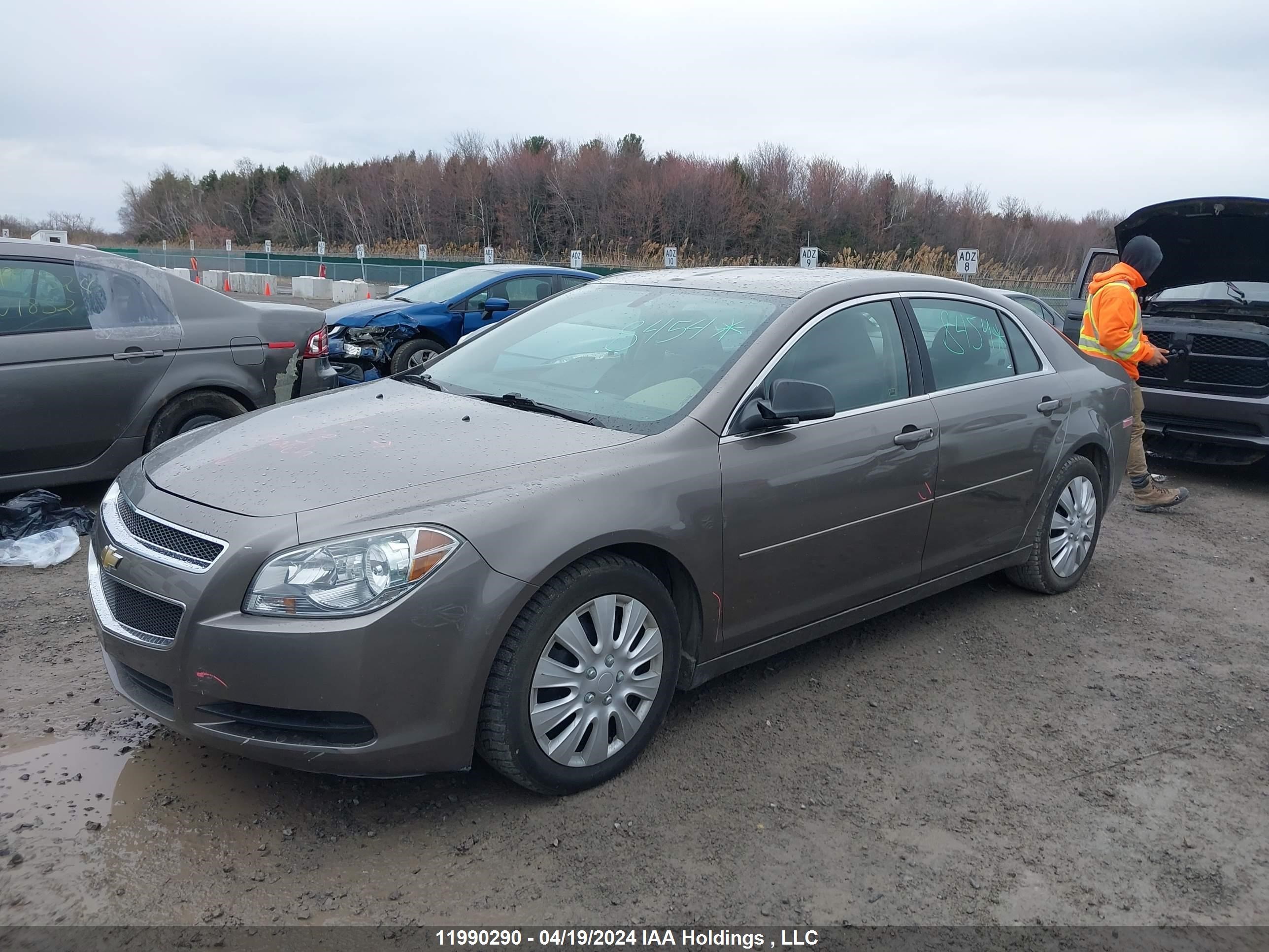 Photo 1 VIN: 1G1ZB5E05AF296034 - CHEVROLET MALIBU 