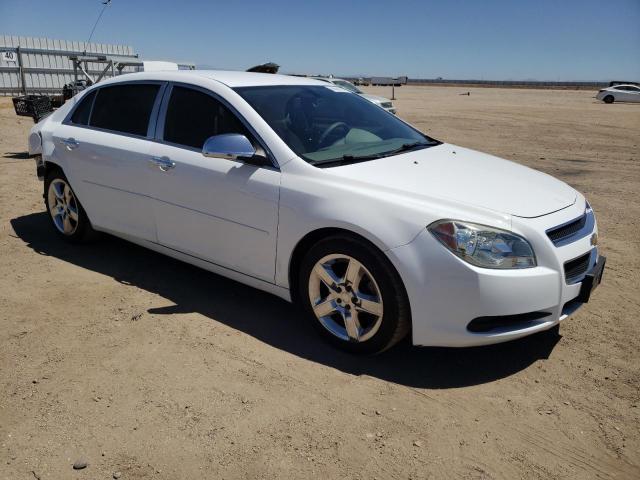 Photo 3 VIN: 1G1ZB5E05CF304667 - CHEVROLET MALIBU 