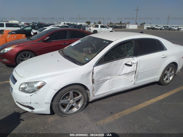 Photo 5 VIN: 1G1ZB5E05CF356817 - CHEVROLET MALIBU 