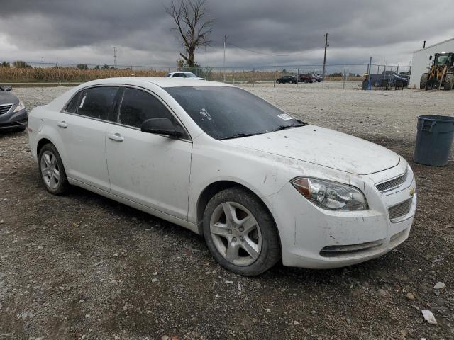 Photo 3 VIN: 1G1ZB5E07CF141231 - CHEVROLET MALIBU LS 