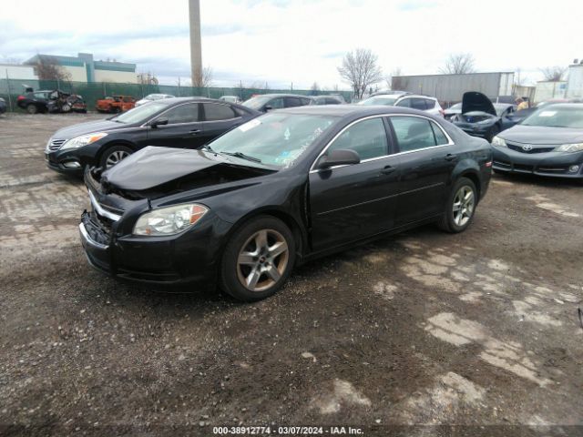 Photo 1 VIN: 1G1ZB5E08CF239264 - CHEVROLET MALIBU 