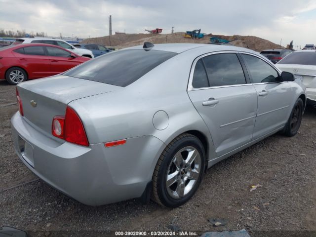 Photo 3 VIN: 1G1ZB5E09CF208931 - CHEVROLET MALIBU 