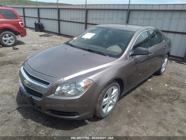 Photo 1 VIN: 1G1ZB5E11BF203293 - CHEVROLET MALIBU 