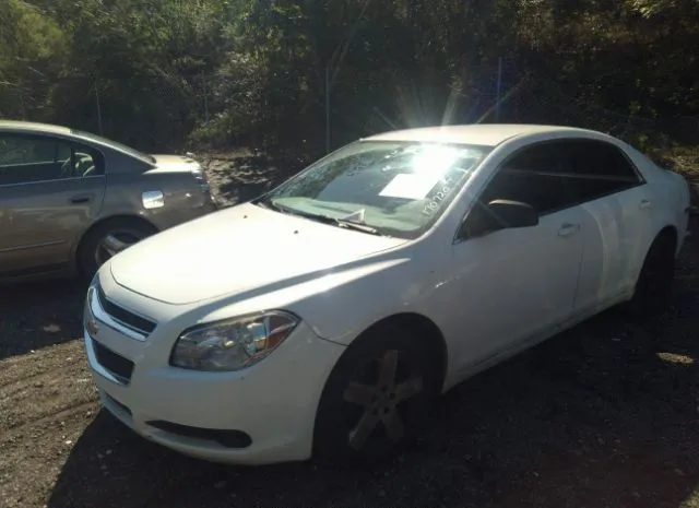 Photo 1 VIN: 1G1ZB5E13BF170720 - CHEVROLET MALIBU 