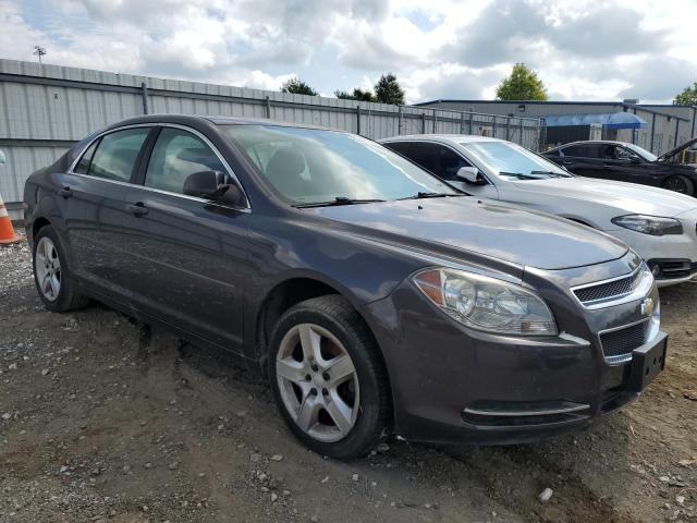 Photo 3 VIN: 1G1ZB5E13BF186982 - CHEVROLET MALIBU LS 