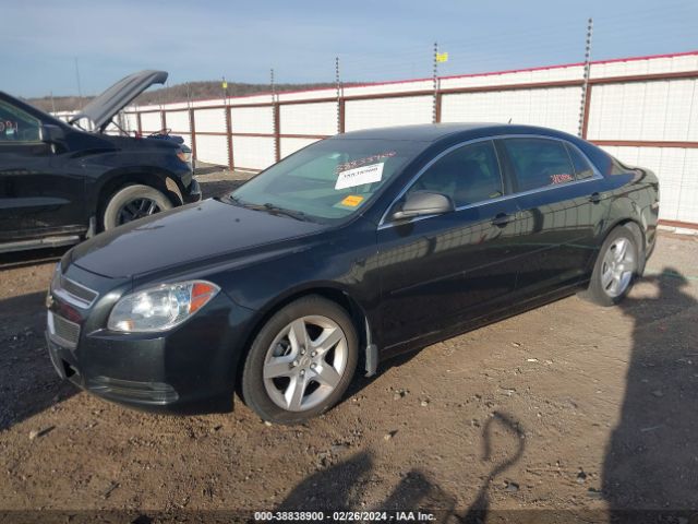 Photo 1 VIN: 1G1ZB5E13BF189607 - CHEVROLET MALIBU 