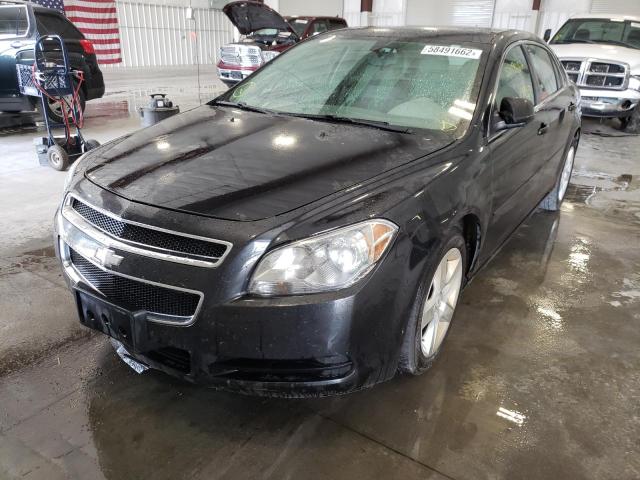 Photo 1 VIN: 1G1ZB5E13BF205448 - CHEVROLET MALIBU LS 