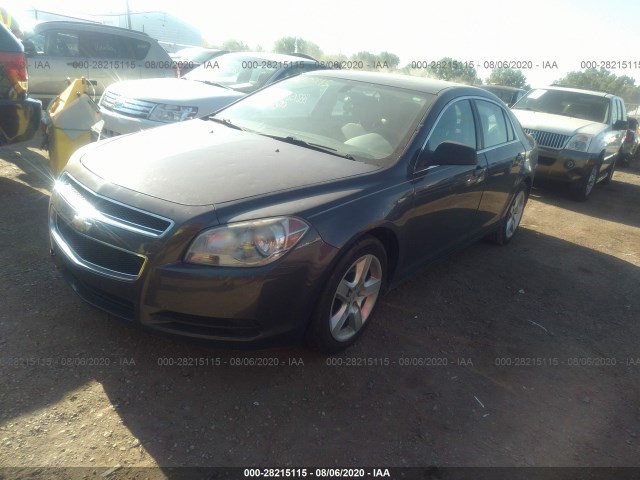 Photo 1 VIN: 1G1ZB5E13BF309874 - CHEVROLET MALIBU 