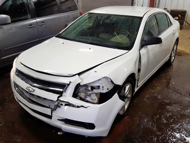 Photo 1 VIN: 1G1ZB5E14BF245036 - CHEVROLET MALIBU LS 