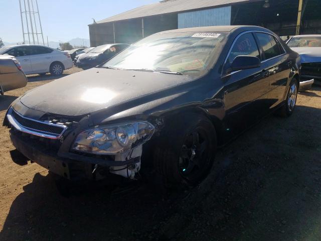 Photo 1 VIN: 1G1ZB5E14BF319507 - CHEVROLET MALIBU LS 