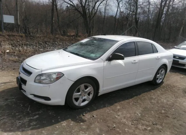 Photo 1 VIN: 1G1ZB5E15BF101947 - CHEVROLET MALIBU 