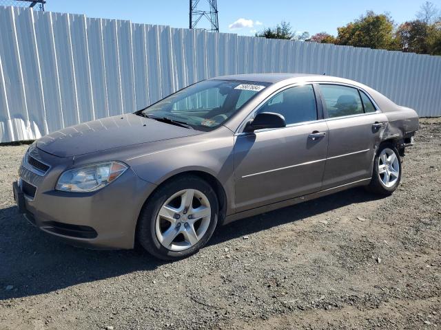 Photo 0 VIN: 1G1ZB5E15BF156382 - CHEVROLET MALIBU LS 