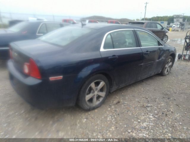 Photo 3 VIN: 1G1ZB5E16BF204746 - CHEVROLET MALIBU 