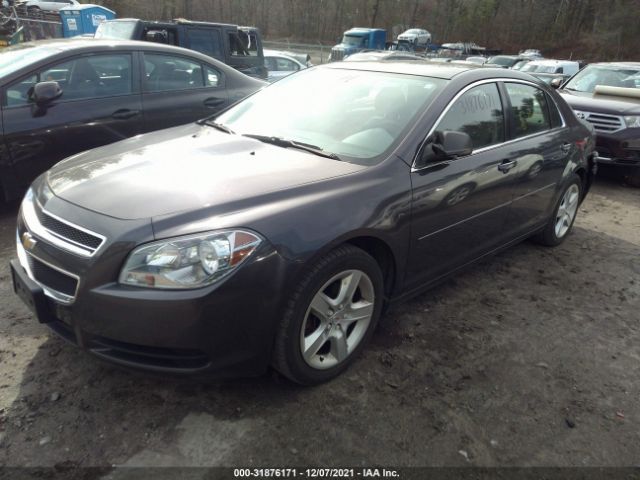 Photo 1 VIN: 1G1ZB5E16BF243465 - CHEVROLET MALIBU 