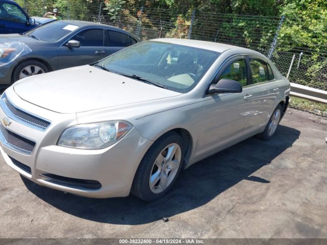 Photo 1 VIN: 1G1ZB5E17BF165469 - CHEVROLET MALIBU 