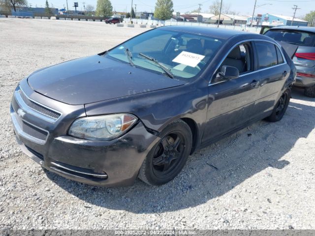 Photo 1 VIN: 1G1ZB5E17BF174138 - CHEVROLET MALIBU 