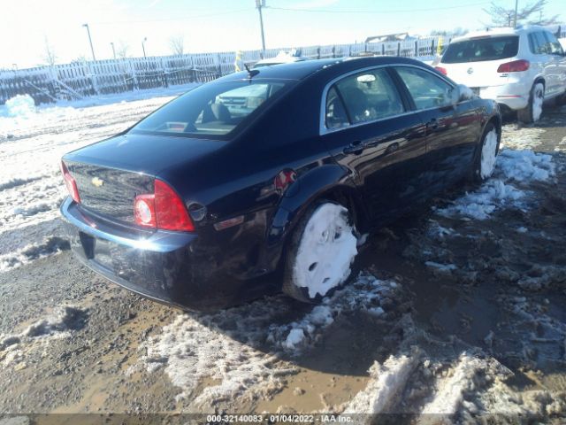 Photo 3 VIN: 1G1ZB5E18BF262759 - CHEVROLET MALIBU 