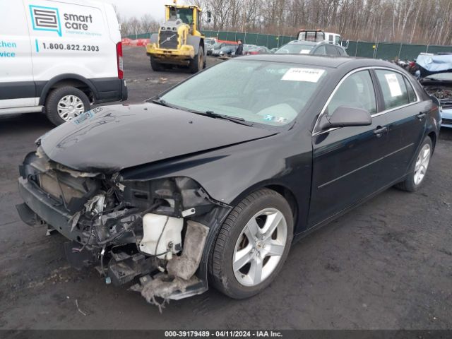 Photo 1 VIN: 1G1ZB5E1XBF106593 - CHEVROLET MALIBU 