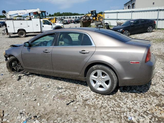 Photo 1 VIN: 1G1ZB5E1XBF121546 - CHEVROLET MALIBU LS 