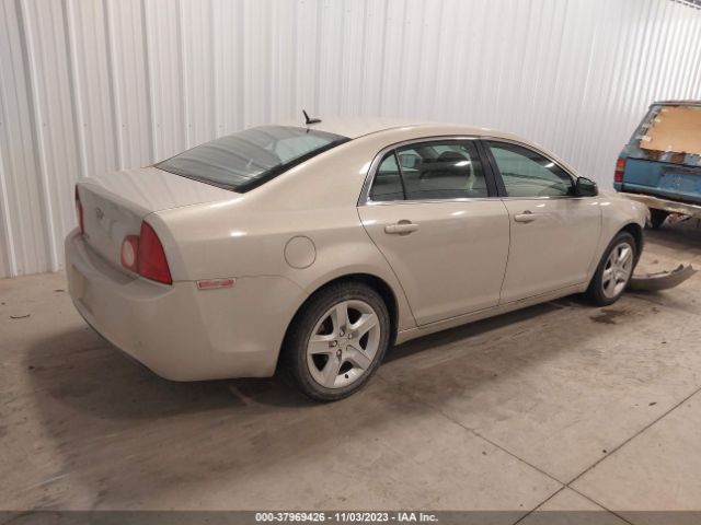 Photo 3 VIN: 1G1ZB5E1XBF122003 - CHEVROLET MALIBU 