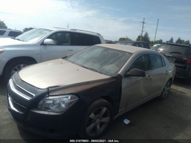 Photo 1 VIN: 1G1ZB5E1XBF157897 - CHEVROLET MALIBU 