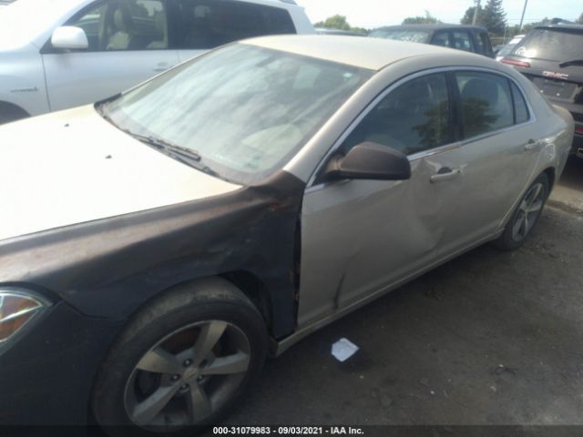 Photo 5 VIN: 1G1ZB5E1XBF157897 - CHEVROLET MALIBU 