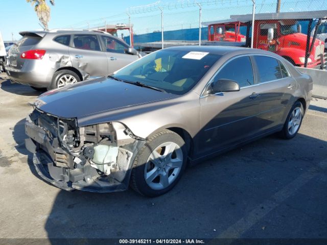 Photo 1 VIN: 1G1ZB5E1XBF160556 - CHEVROLET MALIBU 