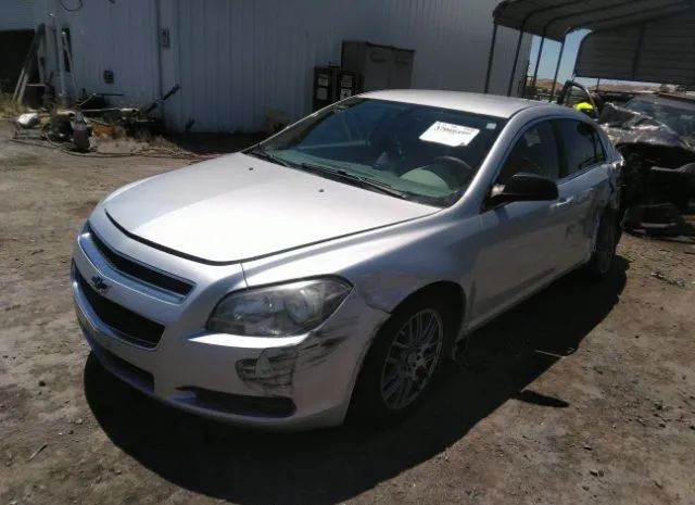 Photo 1 VIN: 1G1ZB5E1XBF202319 - CHEVROLET MALIBU 