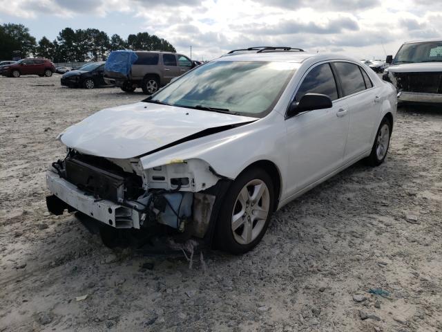 Photo 1 VIN: 1G1ZB5E1XBF204135 - CHEVROLET MALIBU LS 