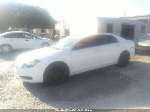 Photo 1 VIN: 1G1ZB5E1XBF234915 - CHEVROLET MALIBU 