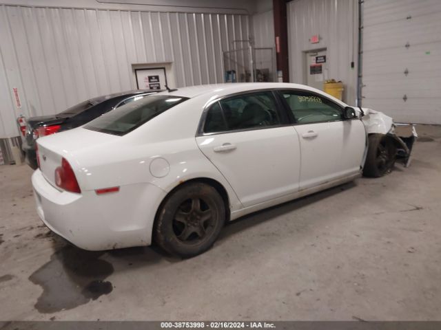 Photo 3 VIN: 1G1ZB5E1XBF241668 - CHEVROLET MALIBU 