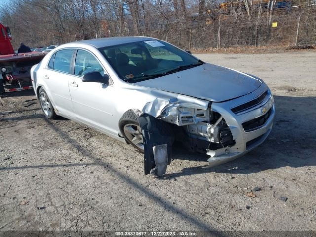 Photo 0 VIN: 1G1ZB5E1XBF249981 - CHEVROLET MALIBU 