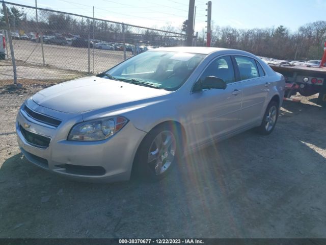 Photo 1 VIN: 1G1ZB5E1XBF249981 - CHEVROLET MALIBU 