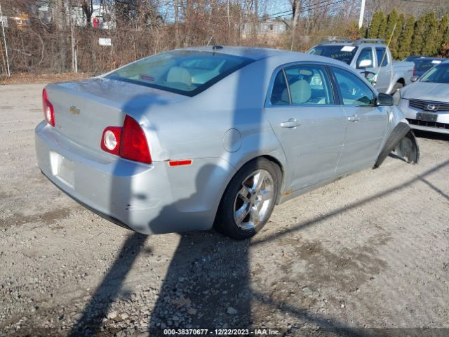 Photo 3 VIN: 1G1ZB5E1XBF249981 - CHEVROLET MALIBU 