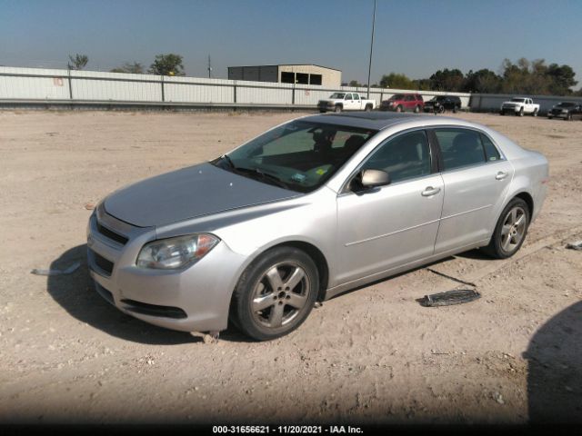 Photo 1 VIN: 1G1ZB5E1XBF264769 - CHEVROLET MALIBU 