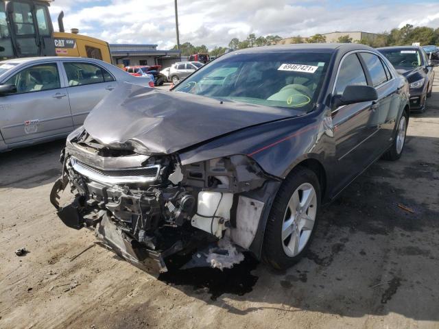 Photo 1 VIN: 1G1ZB5E1XBF291499 - CHEVROLET MALIBU LS 