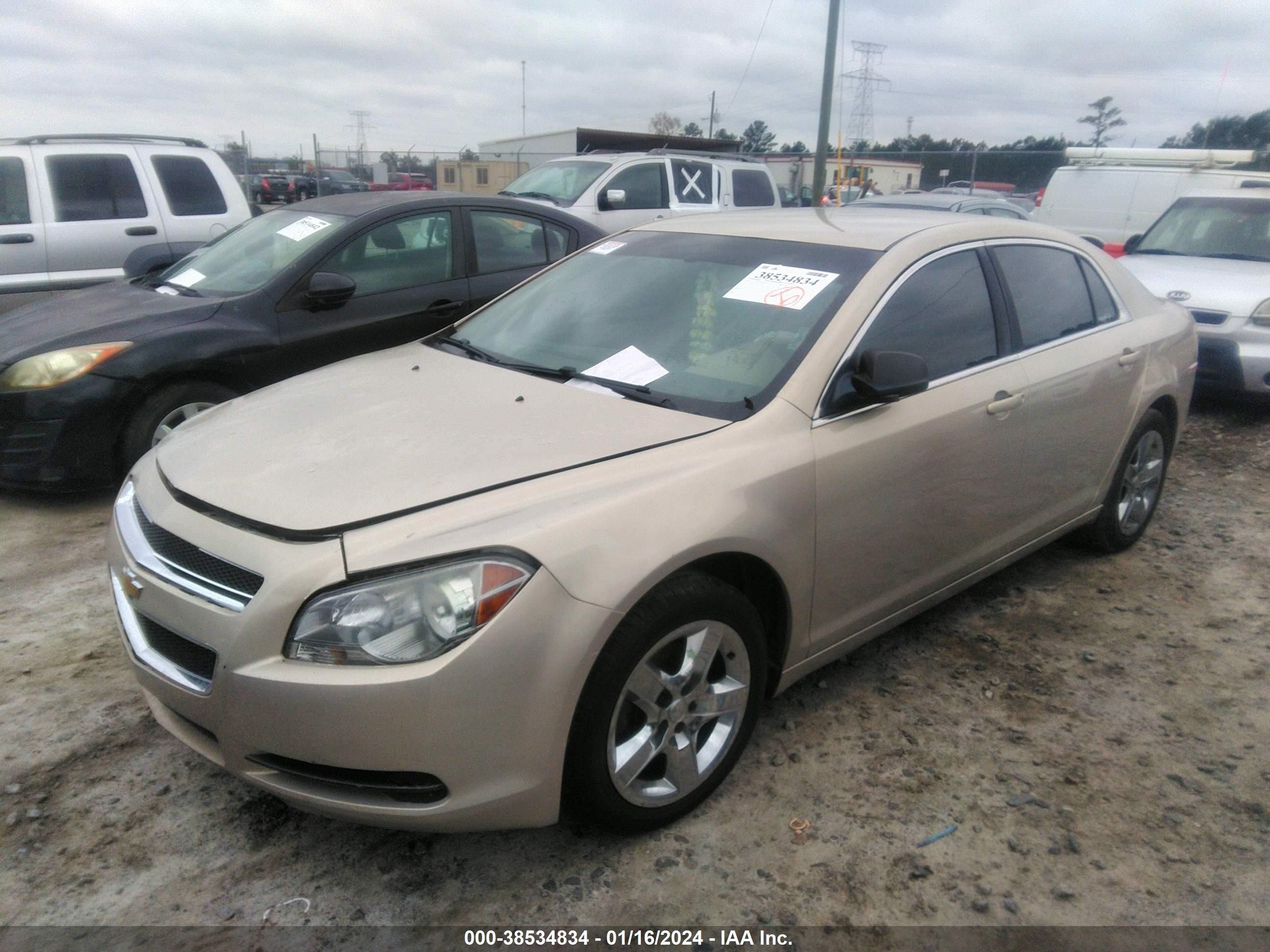 Photo 1 VIN: 1G1ZB5E1XBF306731 - CHEVROLET MALIBU 