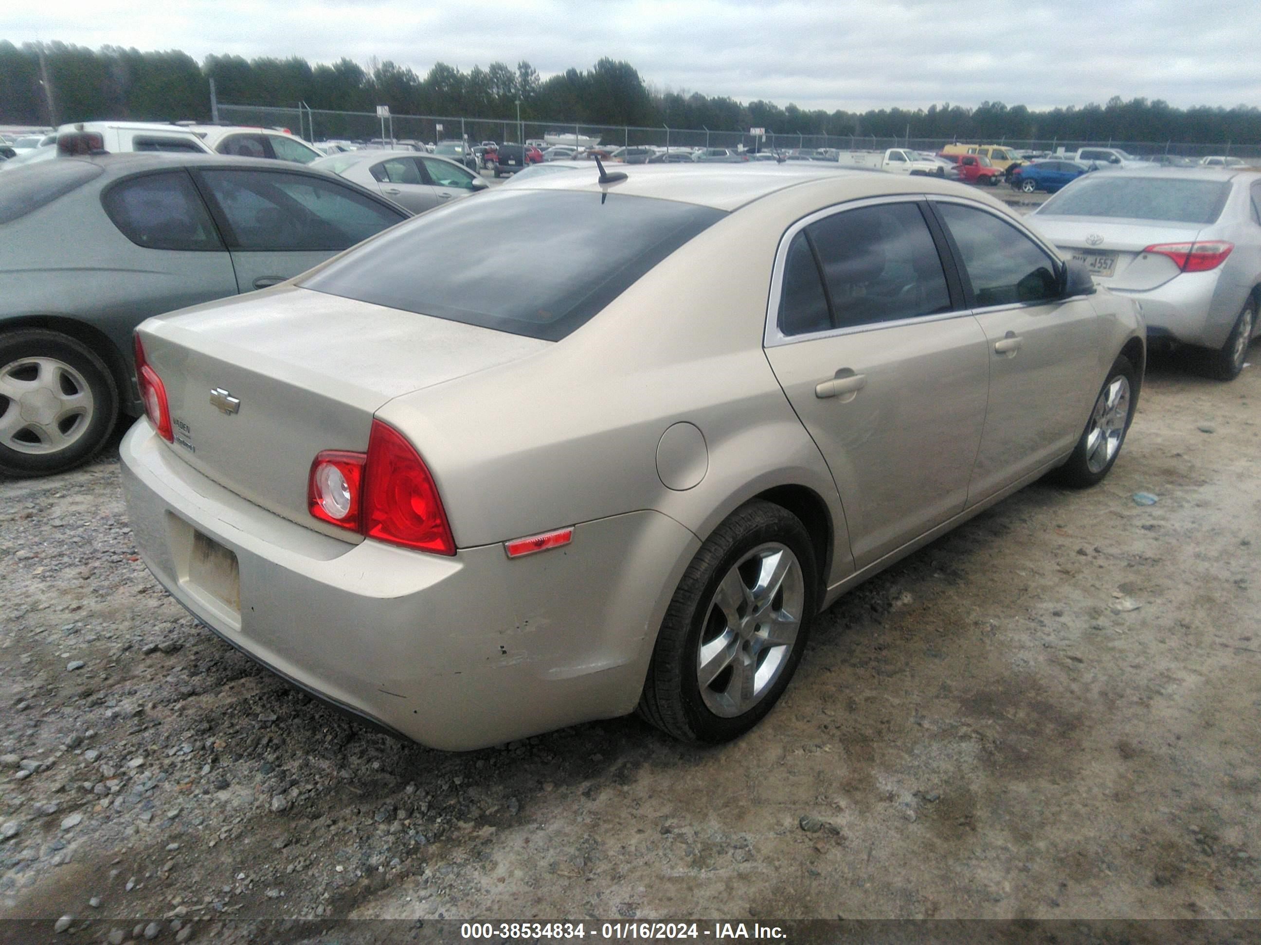 Photo 3 VIN: 1G1ZB5E1XBF306731 - CHEVROLET MALIBU 