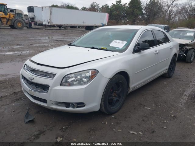 Photo 1 VIN: 1G1ZB5E1XBF321763 - CHEVROLET MALIBU 