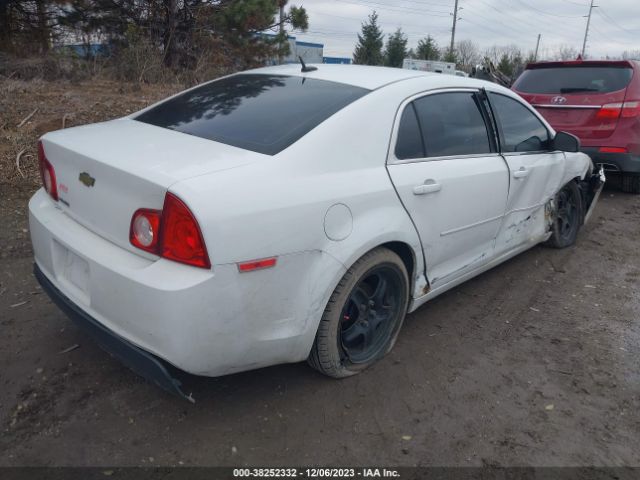 Photo 3 VIN: 1G1ZB5E1XBF321763 - CHEVROLET MALIBU 