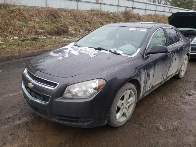 Photo 1 VIN: 1G1ZB5EB3AF302186 - CHEVROLET MALIBU LS 