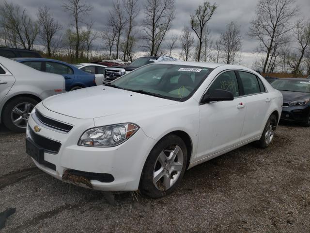 Photo 1 VIN: 1G1ZB5EB7AF251307 - CHEVROLET MALIBU LS 