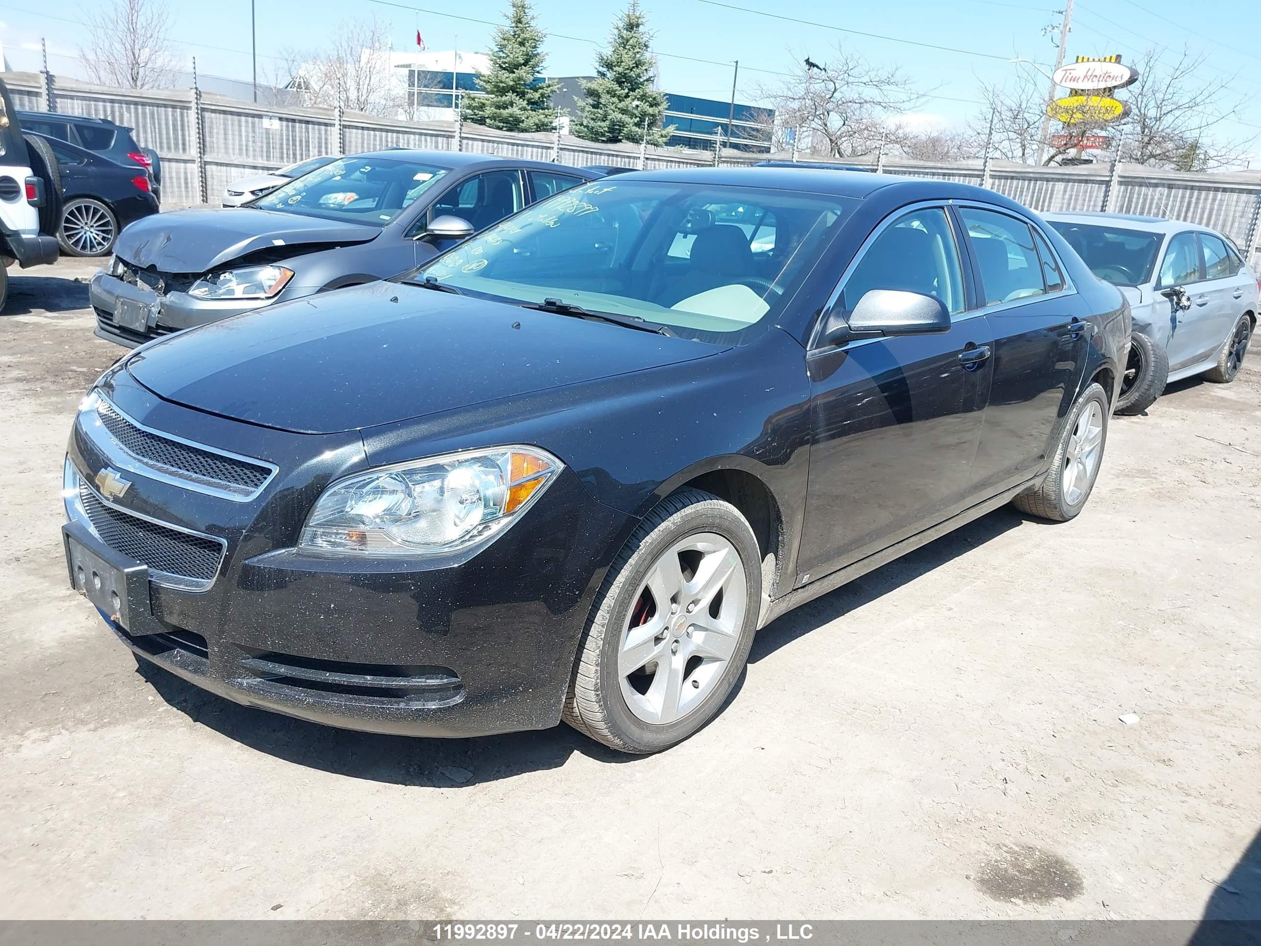 Photo 1 VIN: 1G1ZB5EU2BF146113 - CHEVROLET MALIBU 