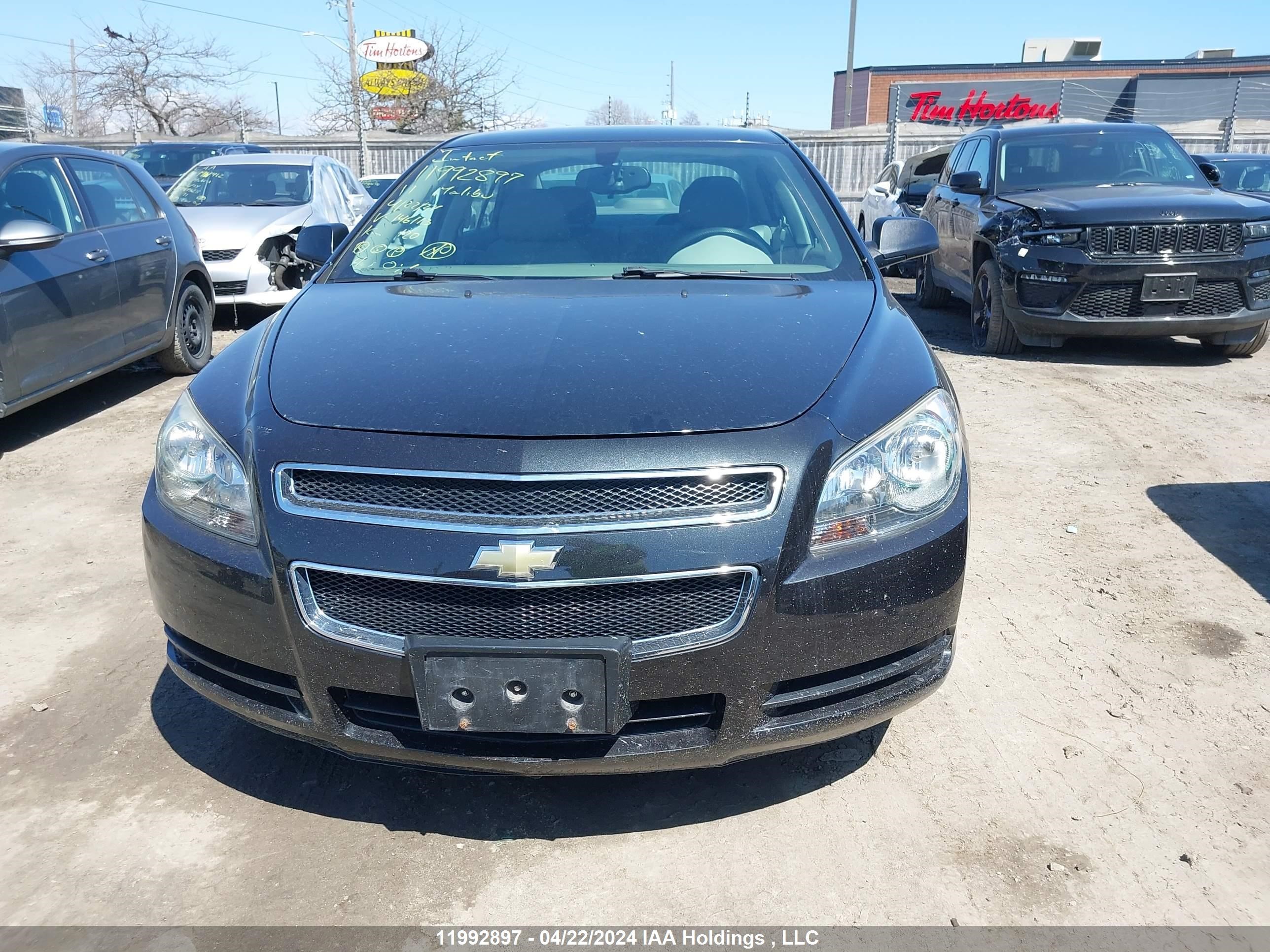 Photo 11 VIN: 1G1ZB5EU2BF146113 - CHEVROLET MALIBU 