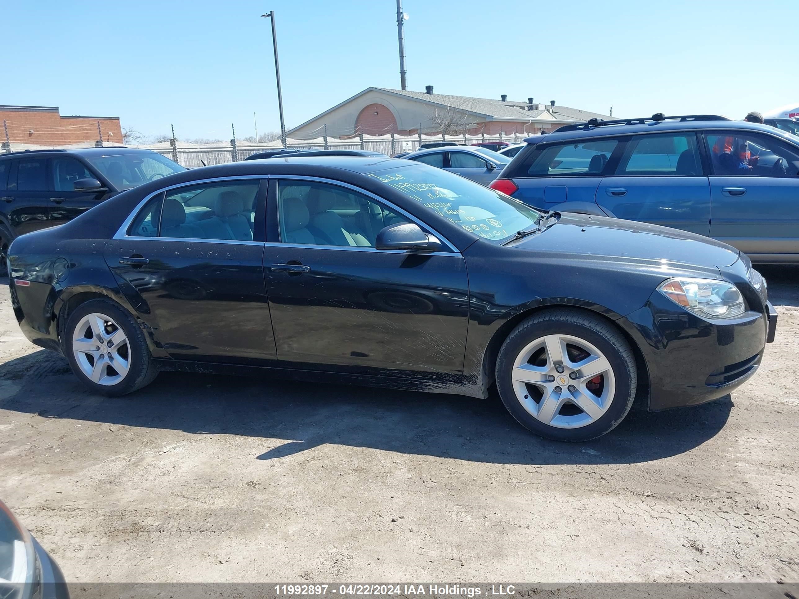 Photo 12 VIN: 1G1ZB5EU2BF146113 - CHEVROLET MALIBU 