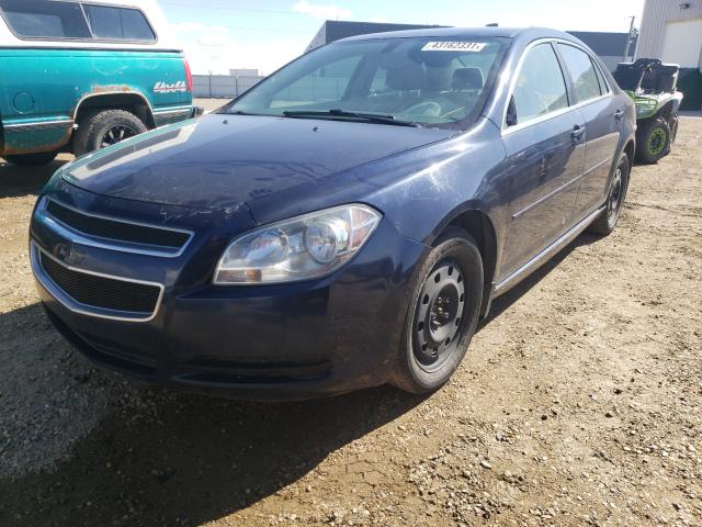 Photo 1 VIN: 1G1ZB5EU2BF162649 - CHEVROLET MALIBU LS 