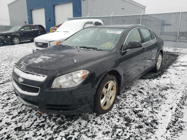 Photo 1 VIN: 1G1ZB5EU5BF383954 - CHEVROLET MALIBU LS 