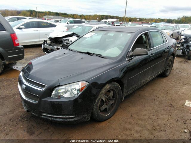 Photo 1 VIN: 1G1ZB5EU6BF141593 - CHEVROLET MALIBU 