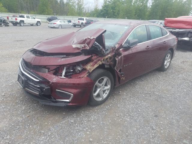 Photo 1 VIN: 1G1ZB5ST0GF308095 - CHEVROLET MALIBU LS 