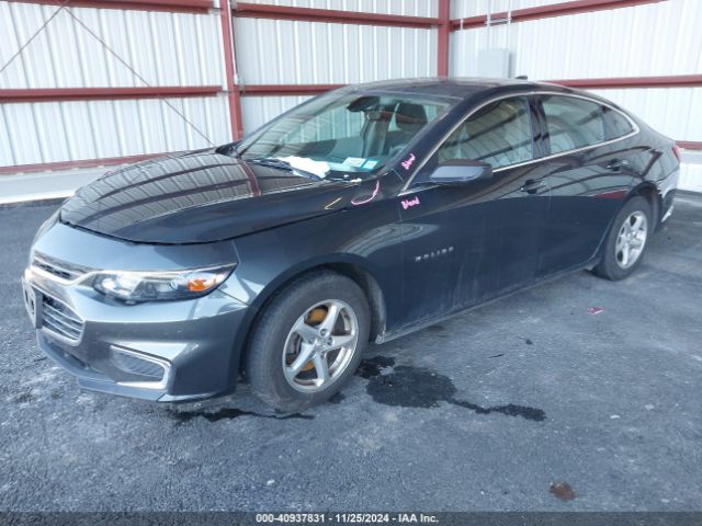 Photo 1 VIN: 1G1ZB5ST0HF116466 - CHEVROLET MALIBU 